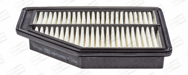 Air Filter (CAF100925P)