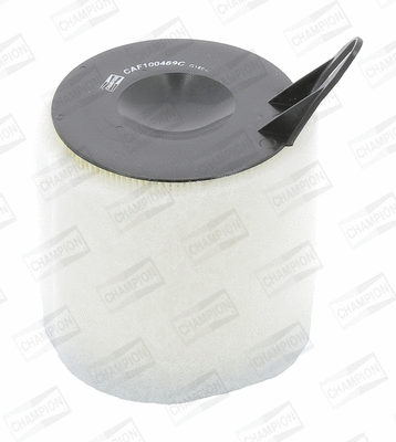 Air Filter (CAF100469C)