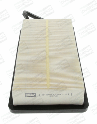 Air Filter (CAF100735P)