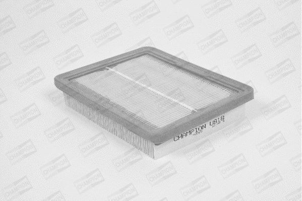 Air Filter (U818/606)