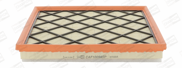 Air Filter (CAF100945P)
