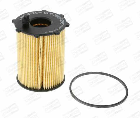 Oil Filter (COF100529E)
