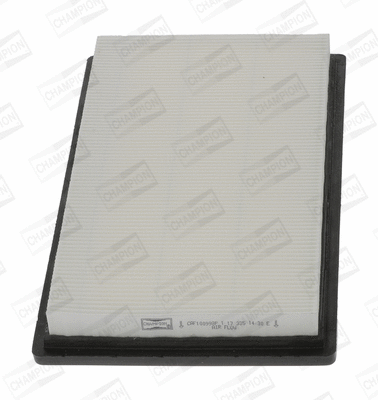 Air Filter (CAF100998P)