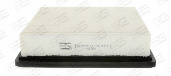 Air Filter (CAF100727P)