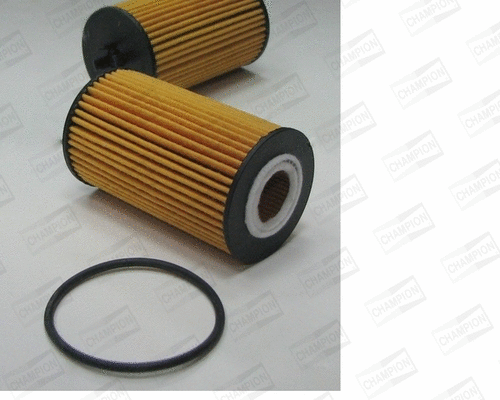 Oil Filter (XE559/606)