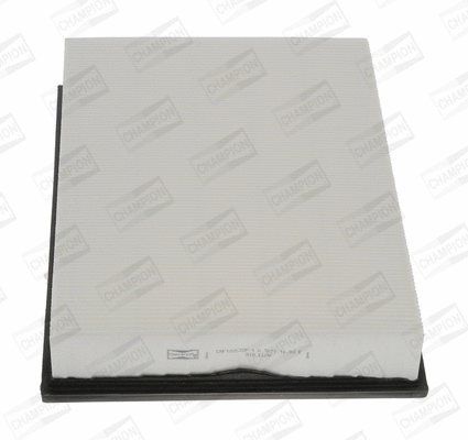 Air Filter (CAF100532P)
