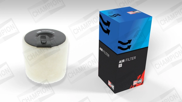 Air Filter (CAF100458C)