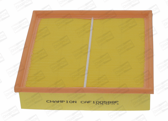 Air Filter (CAF100588P)
