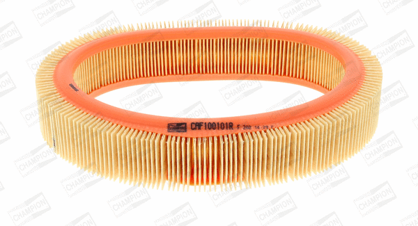 Air Filter (CAF100101R)