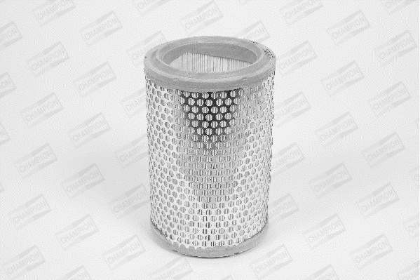 Air Filter (V456/606)