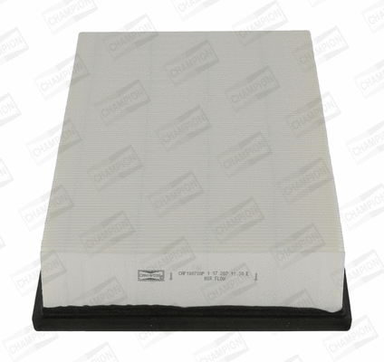 Air Filter (CAF100700P)