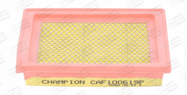 Air Filter (CAF100619P)