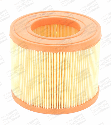 Air Filter (CAF100471C)