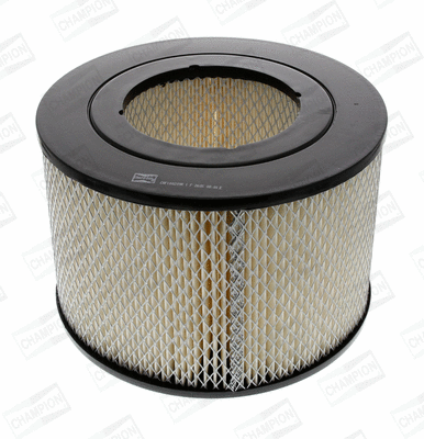 Air Filter (CAF100209R)