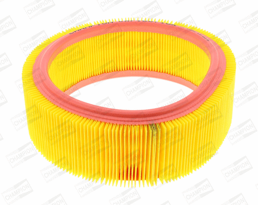 Air Filter (CAF100716R)