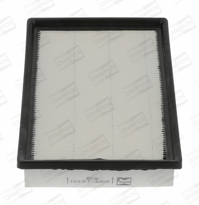 Air Filter (CAF100573P)