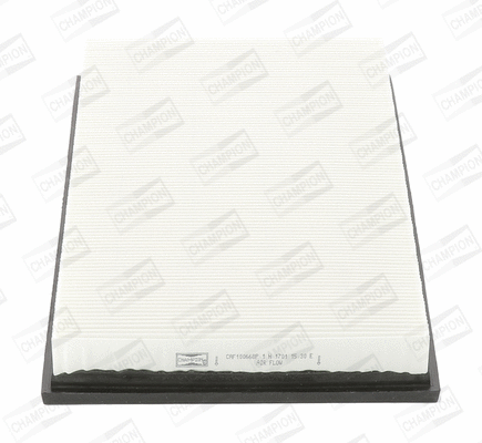 Air Filter (CAF100668P)