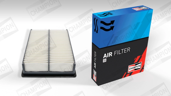 Air Filter (CAF100831P)