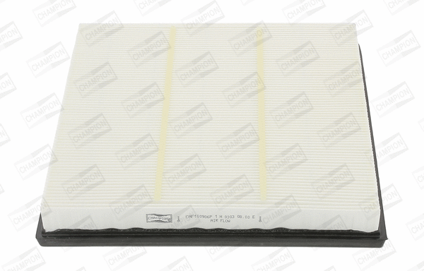 Air Filter (CAF100986P)