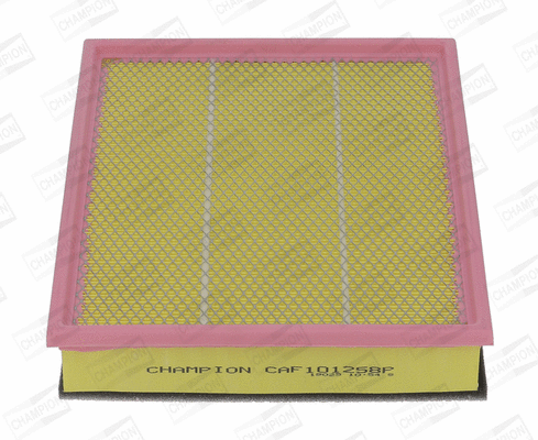 Air Filter (CAF101258P)