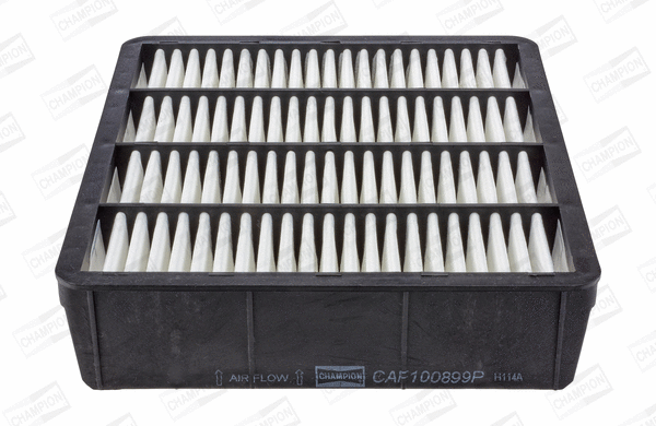 Air Filter (CAF100899P)
