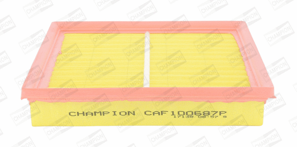 Air Filter (CAF100687P)