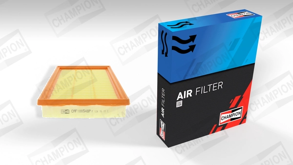 Air Filter (CAF100548P)