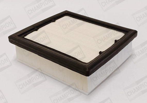 Air Filter (CAF101244P)