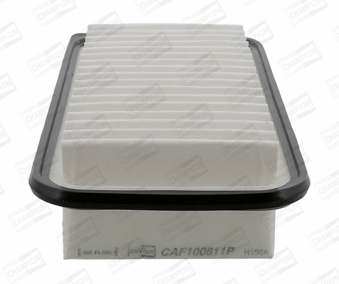 Air Filter (CAF100811P)