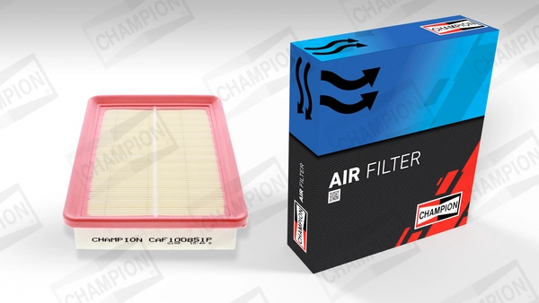 Air Filter (CAF100851P)