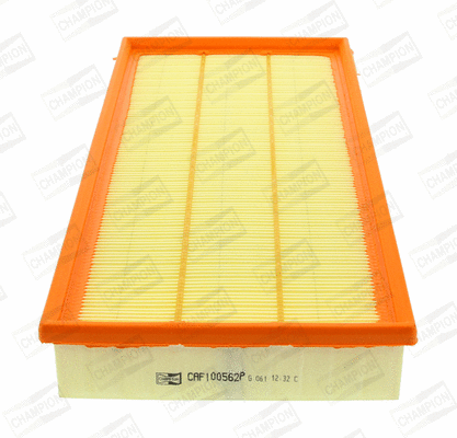 Air Filter (CAF100562P)