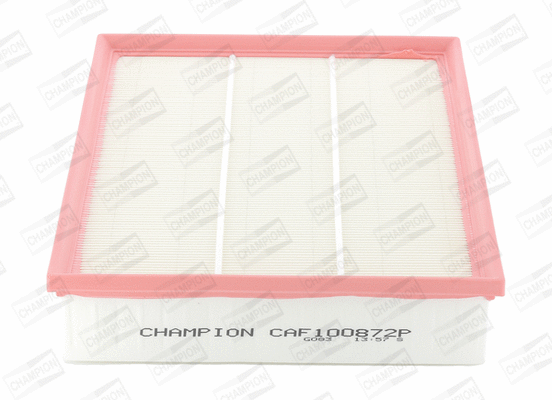Air Filter (CAF100872P)
