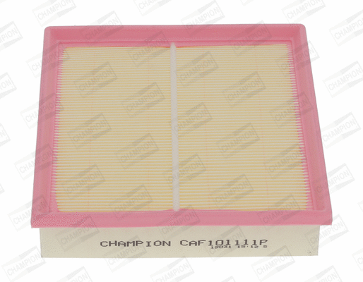 Air Filter (CAF101111P)