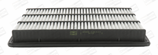 Air Filter (CAF100870P)