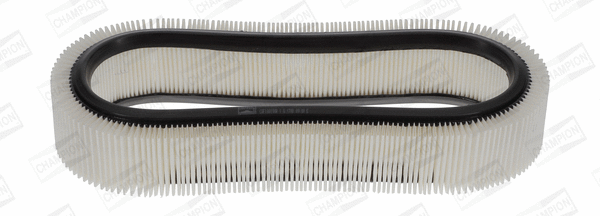 Air Filter (CAF100190R)