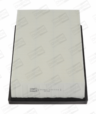 Air Filter (CAF100950P)