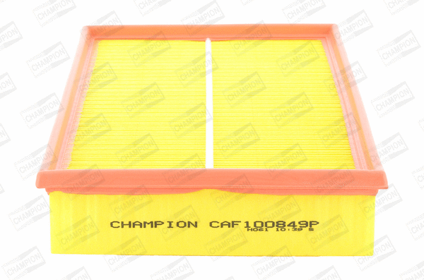 Air Filter (CAF100849P)