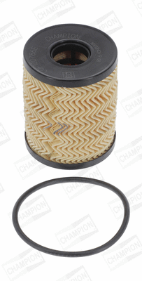 Oil Filter (COF100786E)