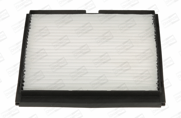 Filter, cabin air (CCF0242)