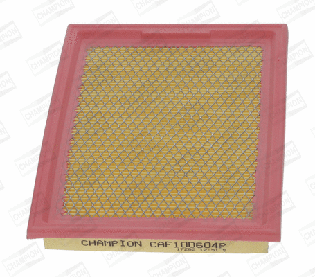 Air Filter (CAF100604P)