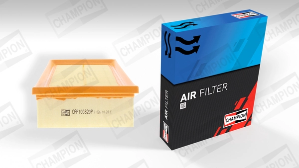 Air Filter (CAF100820P)