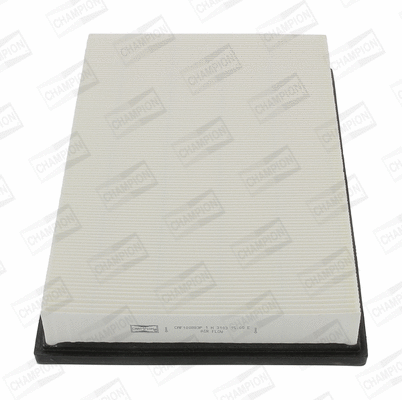 Air Filter (CAF100883P)