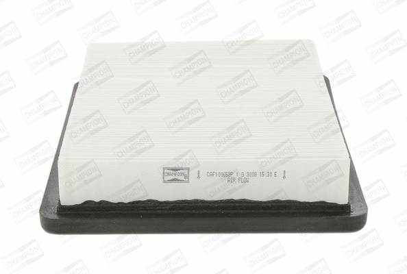 Air Filter (CAF100652P)