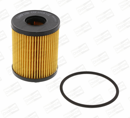 Oil Filter (COF100531E)
