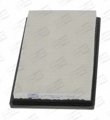 Air Filter (CAF100963P)