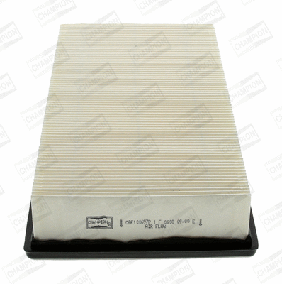Air Filter (CAF100697P)