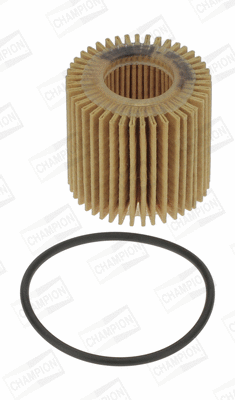 Oil Filter (COF100601E)