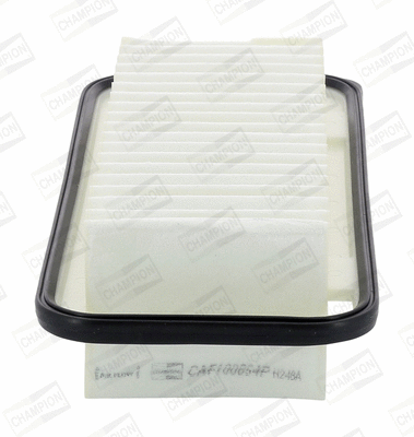 Air Filter (CAF100854P)