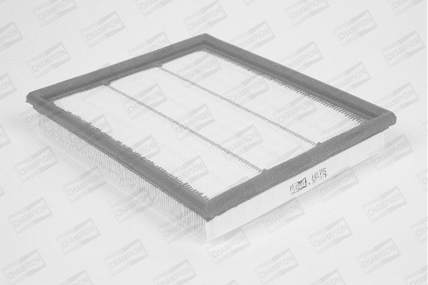 Air Filter (U875/606)