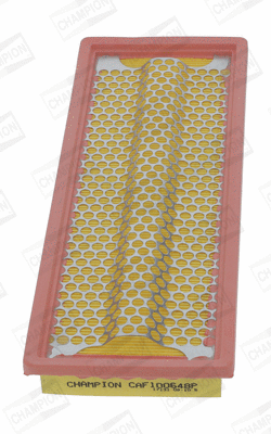 Air Filter (CAF100648P)